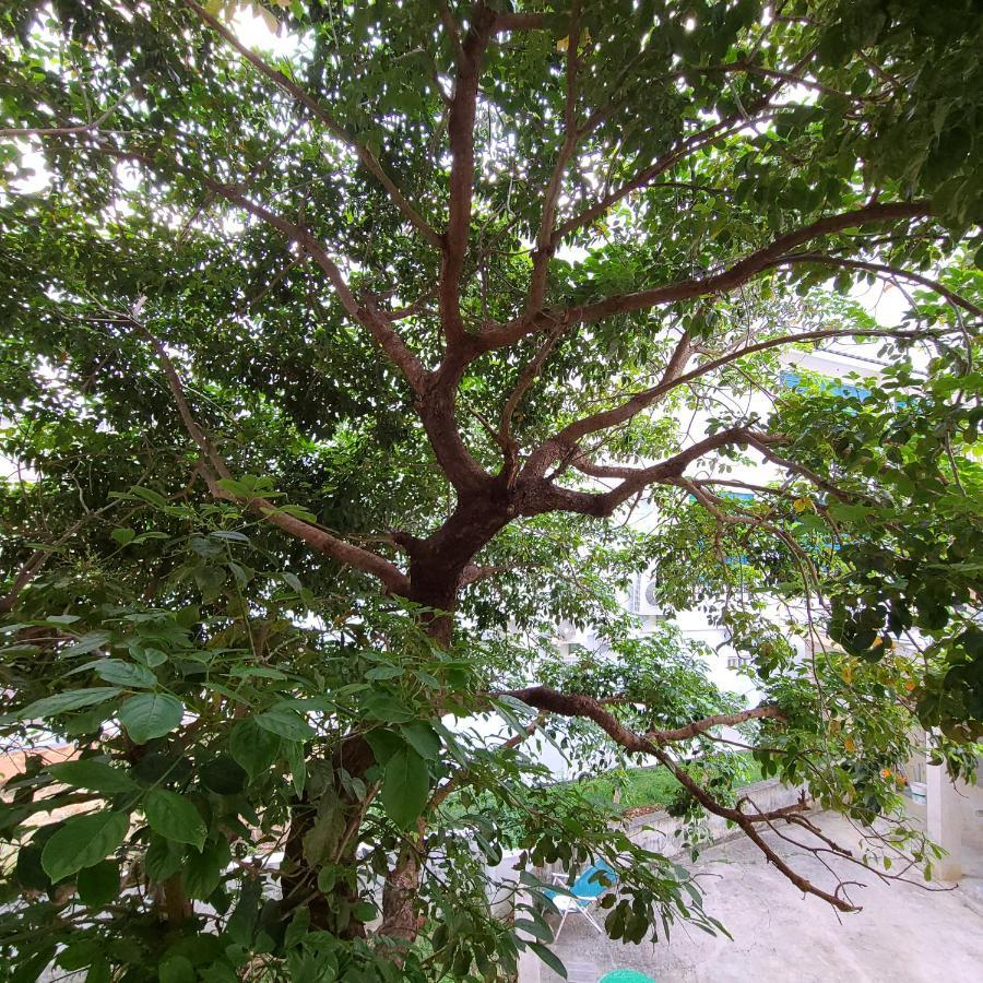 白砂灣藍海之丘blue Ocean Hill Bed & Breakfast Hengchun Exterior photo
