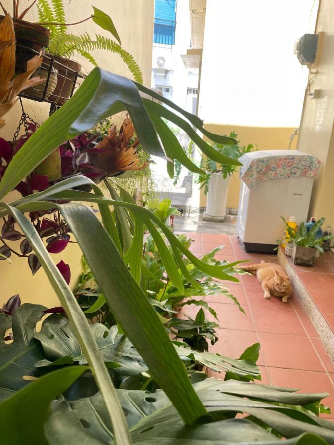 白砂灣藍海之丘blue Ocean Hill Bed & Breakfast Hengchun Exterior photo